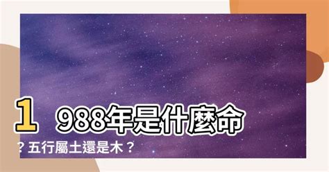 1988 屬什麼|【1988 什麼龍】1988 年五行屬什麼龍？你的命運、姻緣等你來解。